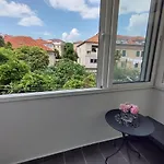 Apartment Orchidea In The Centre Split