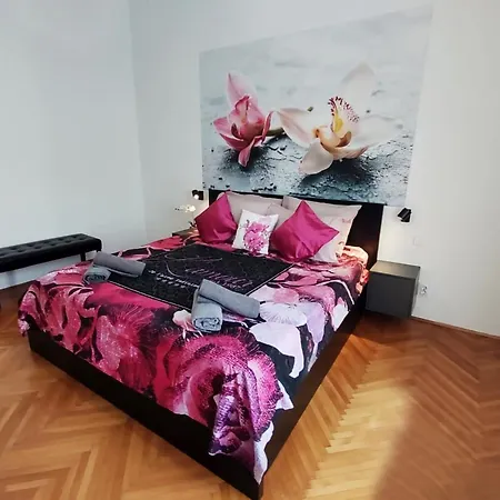 Orchidea In The Centre Апартаменты Сплит