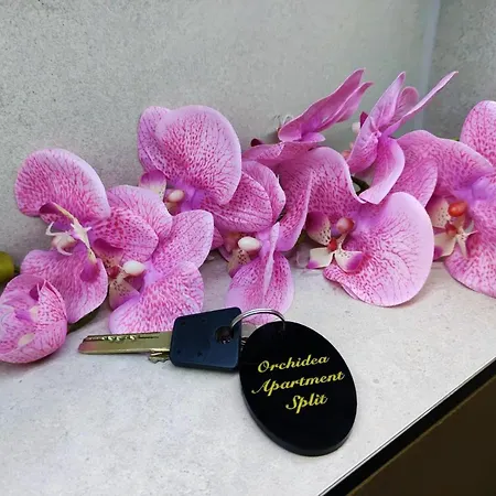 Orchidea In The Centre *