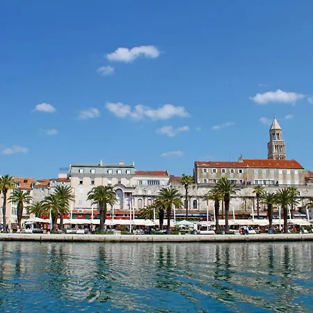 Orchidea In The Centre Split