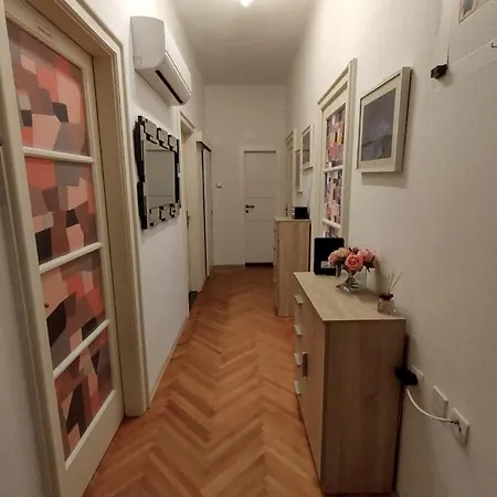 Orchidea In The Centre Apartment