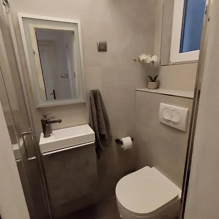 公寓 Orchidea In The Centre 斯普利特