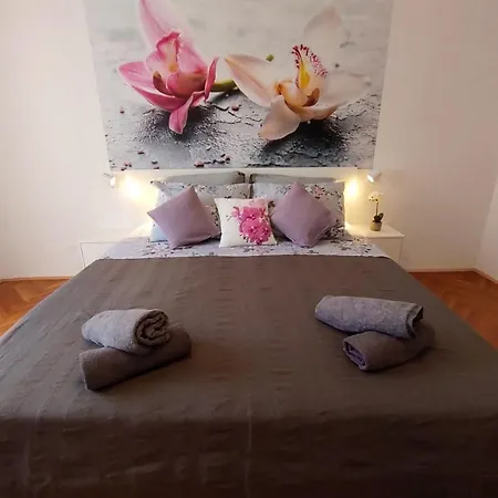 Orchidea In The Centre Apartment *