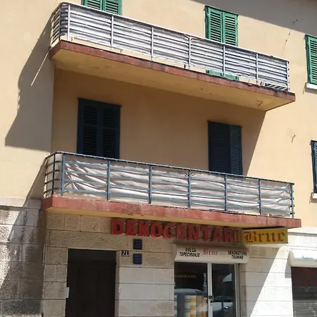 Orchidea In The Centre