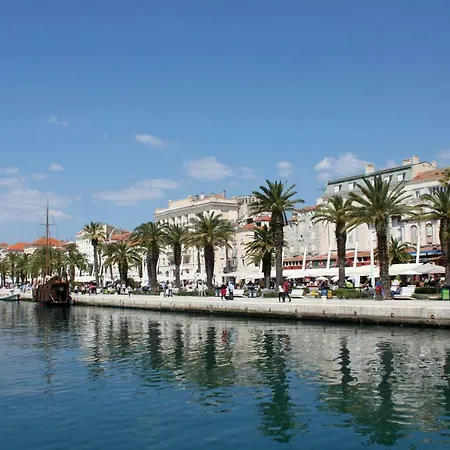 Orchidea In The Centre *