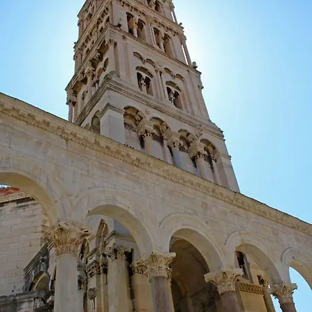 Orchidea In The Centre *