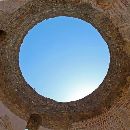 Orchidea In The Centre