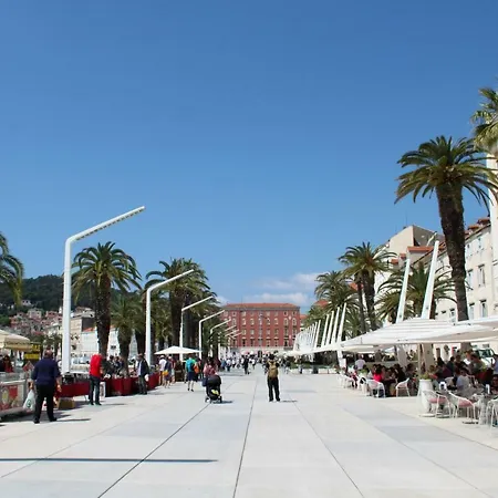 Orchidea In The Centre * Split