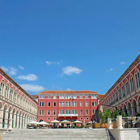 Orchidea In The Centre