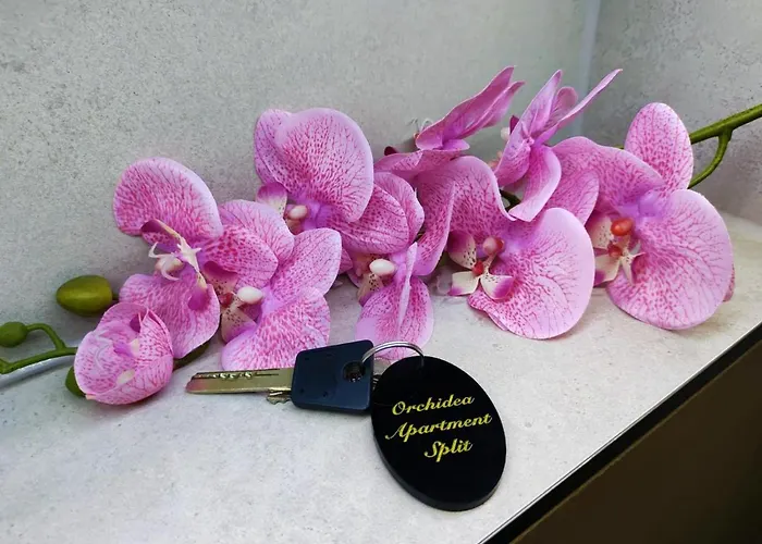 Orchidea In The Centre *