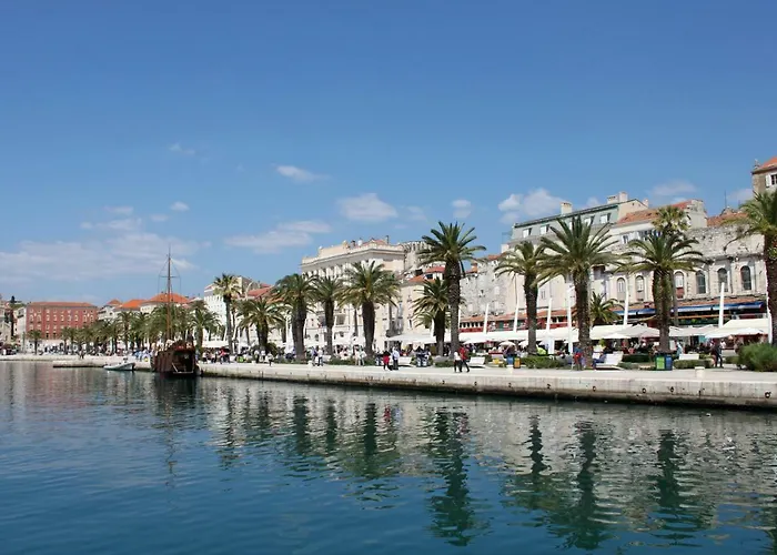 Orchidea In The Centre *