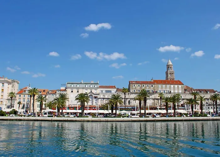 Orchidea In The Centre Split