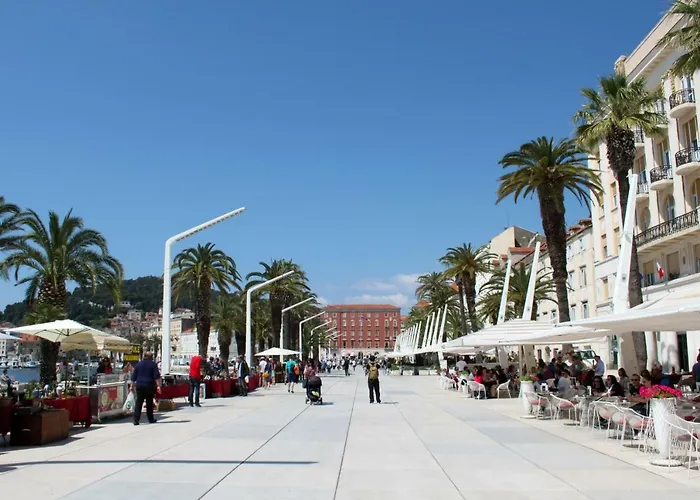 Orchidea In The Centre * Split